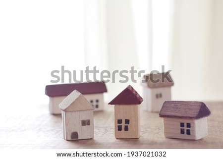 Group photo of a model of a cute miniature house