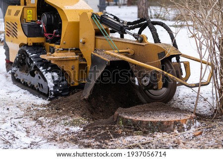 Stump grinding with a view from the right where the cutting disc is visible in close proximity. During the grinding process, the stump shavings fly through the air. The yellow stump grinder grinding. Royalty-Free Stock Photo #1937056714