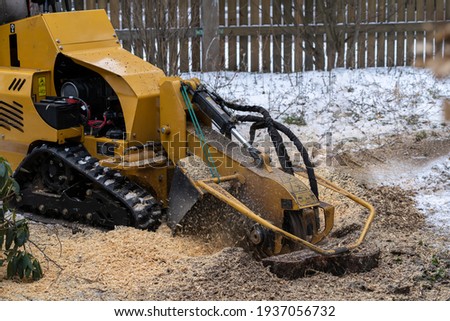 Stump grinding with a view from the right where the cutting disc is visible in close proximity. During the grinding process, the stump shavings fly through the air. The yellow stump grinder grinding Royalty-Free Stock Photo #1937056732