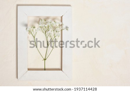 plant in a wooden vintage frame on a background textured background copy space spring and summer mood concept. mother's day card