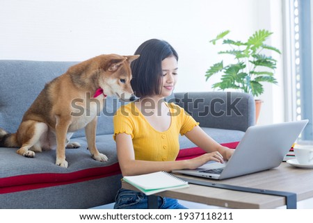 Young Asian woman working in front of computer laptop And there is a Shiba Inu dog sitting on the sofa. Work from home. Royalty-Free Stock Photo #1937118211