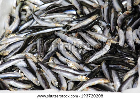 Fresh fish and seafood in market