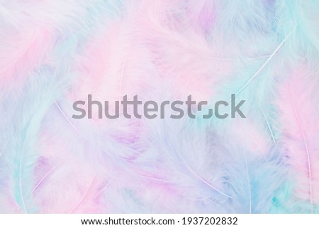 Beautiful multicolour feathers background in pastel pink, blue, mint and purple colors. Minimal abstract composition with copy space for text. Selective focus, festive concept Royalty-Free Stock Photo #1937202832