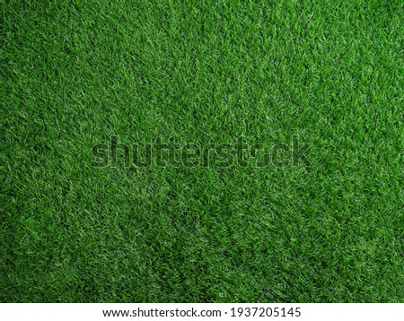 Green grass field on outdoors.