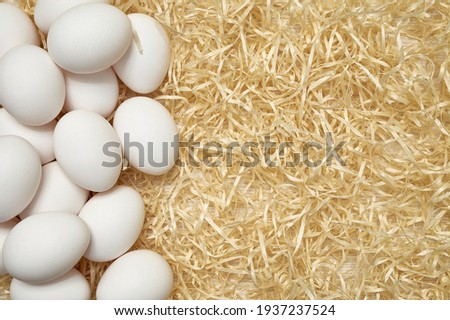 White chicken eggs in on wood shavings. Easter. Shooting from above close up. Pattern. Place for text.