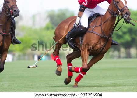 
polo player and horse in Argentine countryside Royalty-Free Stock Photo #1937256904