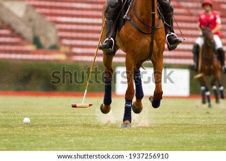 
polo player and horse in Argentine countryside Royalty-Free Stock Photo #1937256910