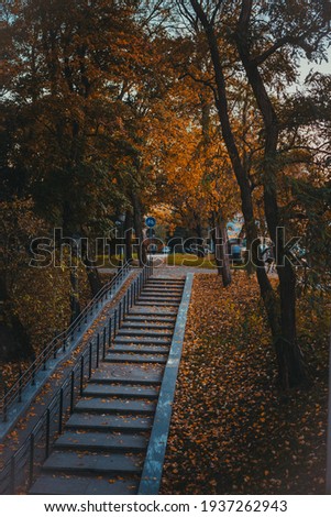 Stone stairs covered ith bright leaves and old trees in the park. Golden autumn in Kaliningrad, Russia