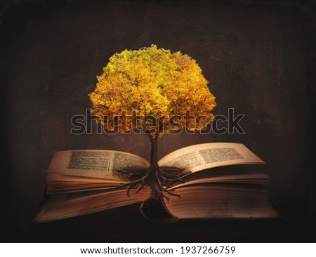 Book of life, knowledge, wisdom - old tree and its roots on open pages of a magic book;  Royalty-Free Stock Photo #1937266759