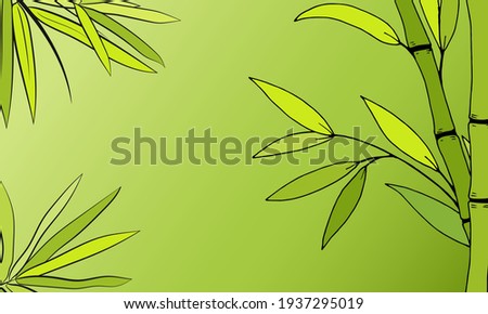 Beautiful background with bamboo stem and leaves. Set of bamboo tree leaves. Drawing of parts of bamboo and sections of branches and leaves isolated on a green  background. 