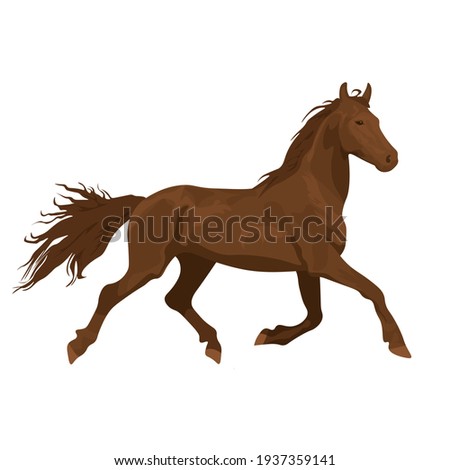beautiful red-haired horse. brown horse on a white background. Horseback riding. farm. poster card with horses