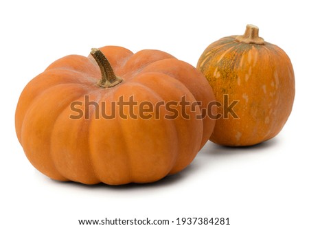 Orange pumpkin on white background, isolated. Organic agricultural product, ingredients for cooking, healthy food vegan. Concept of Halloween or Thanksgiving. Object for packaging design, advertising.
