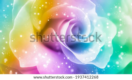 Rainbow rose background. Rainbow floral background. Colorful rose background. Colorful floral background. Colorful abstract texture. Rainbow abstract pattern.