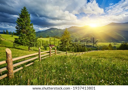 Idyllic landscape in the Alps with fresh green meadows and blooming flowers and snow-capped mountain tops in the background Royalty-Free Stock Photo #1937413801