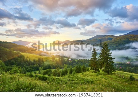 Landscape with fog in mountains and rows of trees Royalty-Free Stock Photo #1937413951