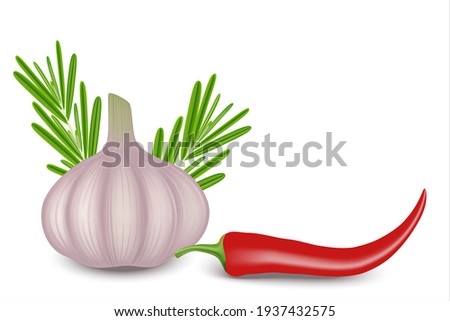 Raw garlic, rosemary and red hot chili pepper on the left and text space on the right.  Realistic raster illustration isolated on white background.