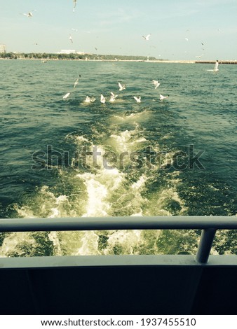Splashing water and seagulls on boat
