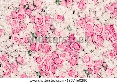 Thriving of full bloom flowerscape, floral visual of live flowers wall, beautiful roses background Royalty-Free Stock Photo #1937460280