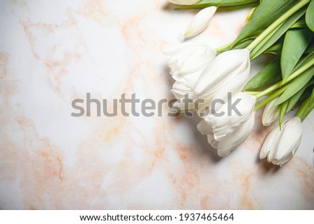 White Tulips on Marble Background