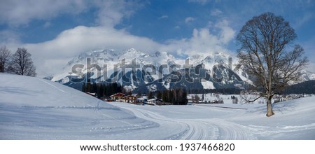cross-country skiing trail in the valley below the mountains