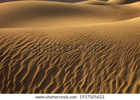 Patterns in the sand dunes