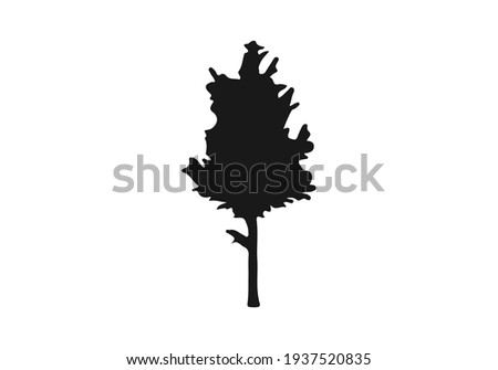 Tree icon. Forest symbol. Flat web sign on white background. Vector