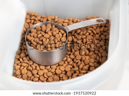 Kibbles with measuring cup inside larger food storage bucket. 1 cup dry pet or dog food portioned out for a medium to large dogs feeding time. Isolated on white. Selective focus. Royalty-Free Stock Photo #1937520922