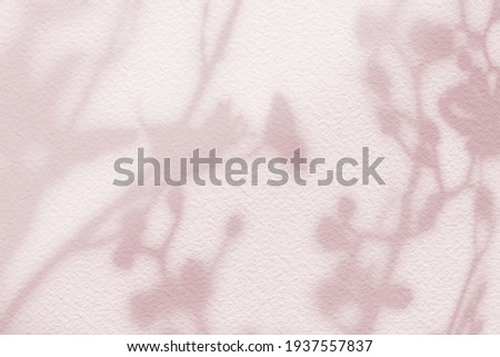 Natural flower shadows are blurred on light pink rose pastel color wall at home at sunrise. Cosmetic organic with minimal concept. Royalty-Free Stock Photo #1937557837