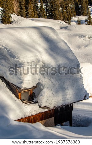 Mountain hut covered in snow, mountain pasture Dedno polje	