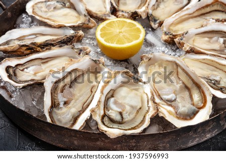 Oysters close-up. A dozen of raw oysters on a platter Royalty-Free Stock Photo #1937596993