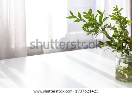 Morning spring still life, plants ruscus branches in a jar of water Royalty-Free Stock Photo #1937621425