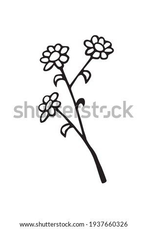Hand drawn abstract Flowers on branch. Black and white stylized botanical elements for design isolated on white background. Vector illustration in doodle style
