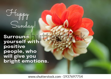 Happy Sunday. Surround yourself with positive people, who will give you with bright emotions. Sunday greeting with inspirational words concept on background of red dahlia flower in garden.
