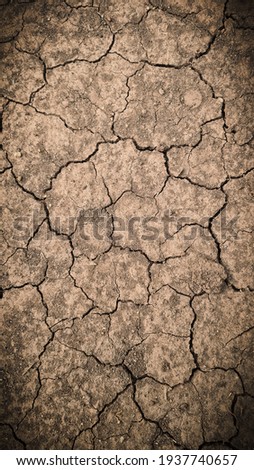 A dry soil background picture 