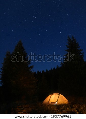 Vertical Panorama of a tent with a spruce forests and stars on the background. Perfect summer night for camping
 Royalty-Free Stock Photo #1937769961