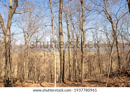 These are photos of woods. 