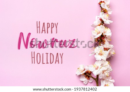 Sprigs of the apricot tree with flowers on pink background Text Happy Nowruz Holiday Concept of spring came Top view Flat lay Hello march, april, may, persian new year