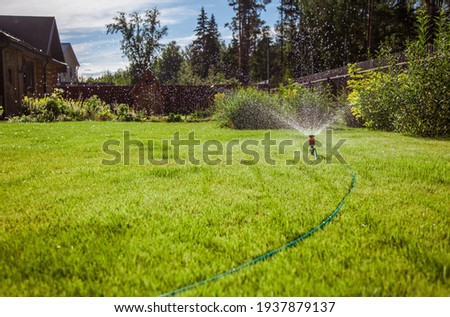Sprinkler in garden watering the lawn. House exterior. 