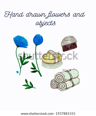 Hand drawn flowers and objects, domestic brushes and towels