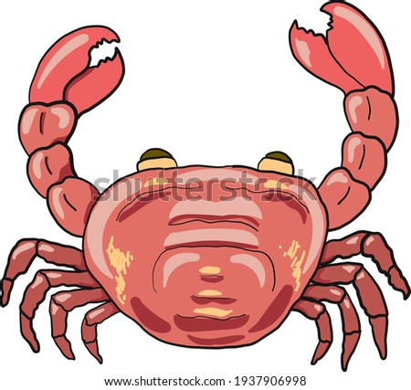 Colorful crab vector for sticker and screen box isolate on white background.