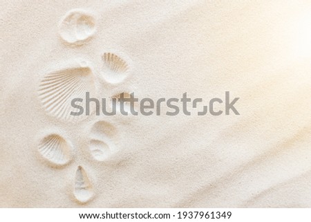 Travel, vacation concept. Sea shells on sand and blue background. Travelling, trip. Travel text. High quality photo Royalty-Free Stock Photo #1937961349