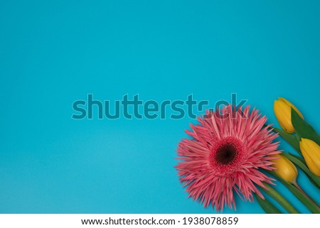Pink and yellow flowers on the blue background, with free space for text.