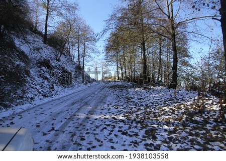 Snow Covered the road in forest