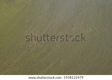 Mud-covered water surface. Cloudy brown slurry. Background. Swampy water.