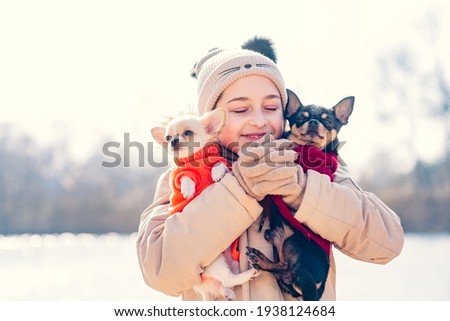 Girl with Chihuahua dogs. The Generation Z girl. Black and white dogs in the arms of a teenage girl.