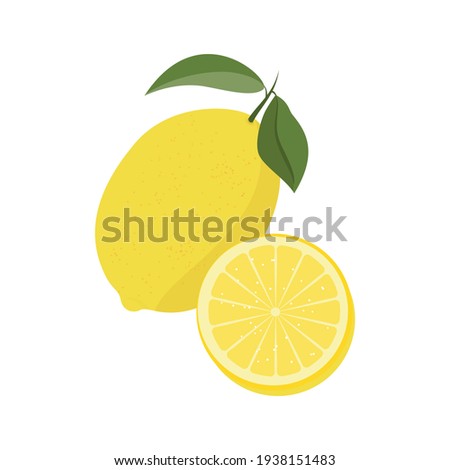 Lemon , vitamin C source. Dietetic and vegetarian food composition. Trendy vector illustration, isolated on white. Good for web and print