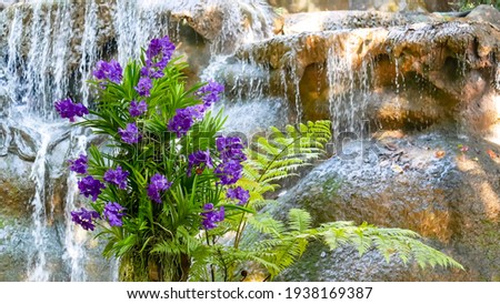 Beautiful purple orchids and ferns on tree stump on waterfall background.