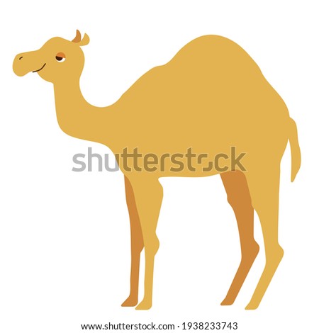 A simple color illustration of a dromedary.