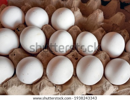 Group of chicken Eggs in paper tray. Fresh raw chicken White Eggs. Close-up picture. Top view