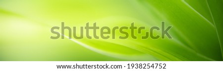 Nature of green leaf in garden at summer. Natural green leaves plants using as spring background cover page environment ecology or greenery wallpaper Royalty-Free Stock Photo #1938254752
